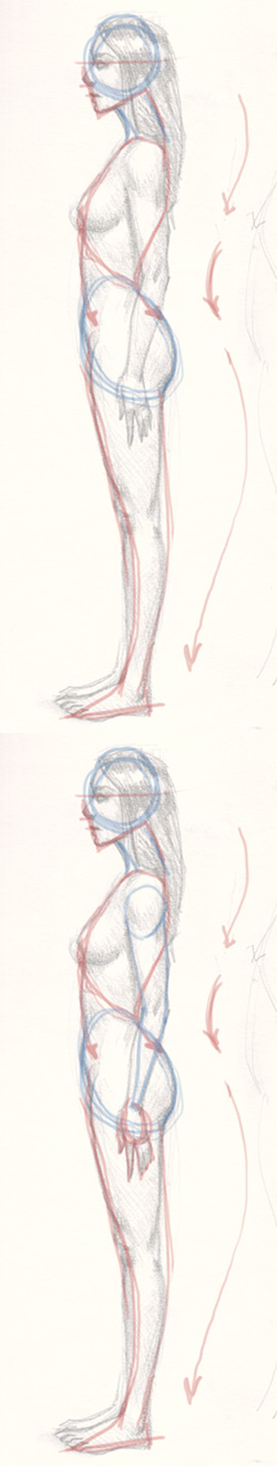 250x1320 learn how to draw woman body side view - Womans Body Drawing