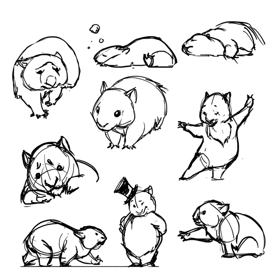 894x894 How To Draw A Wombat How To Draw Animals! Art, Drawings, Cute - Wombat Drawing