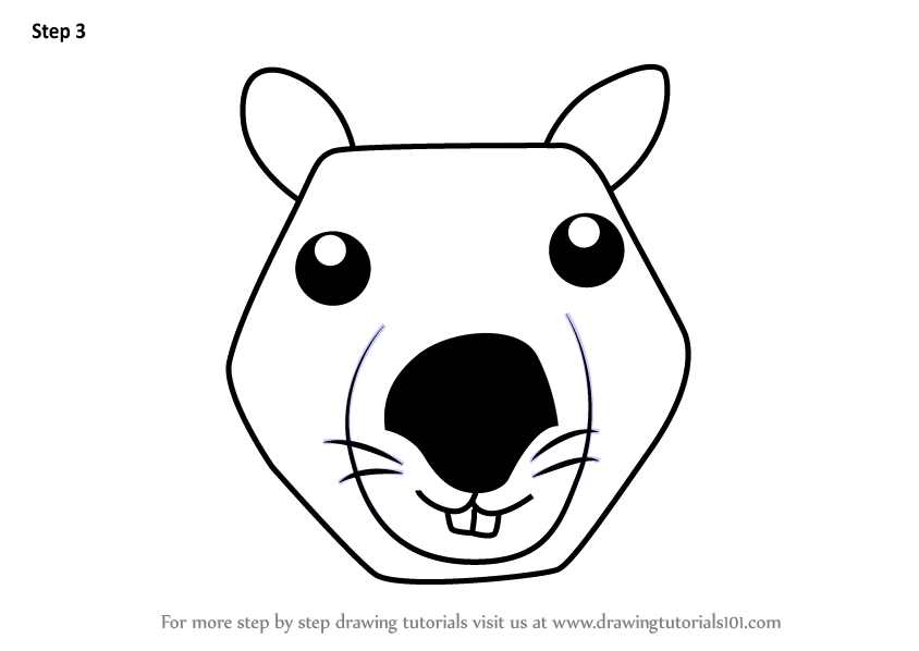 844x598 Learn How To Draw A Wombat Face For Kids - Wombat Drawing