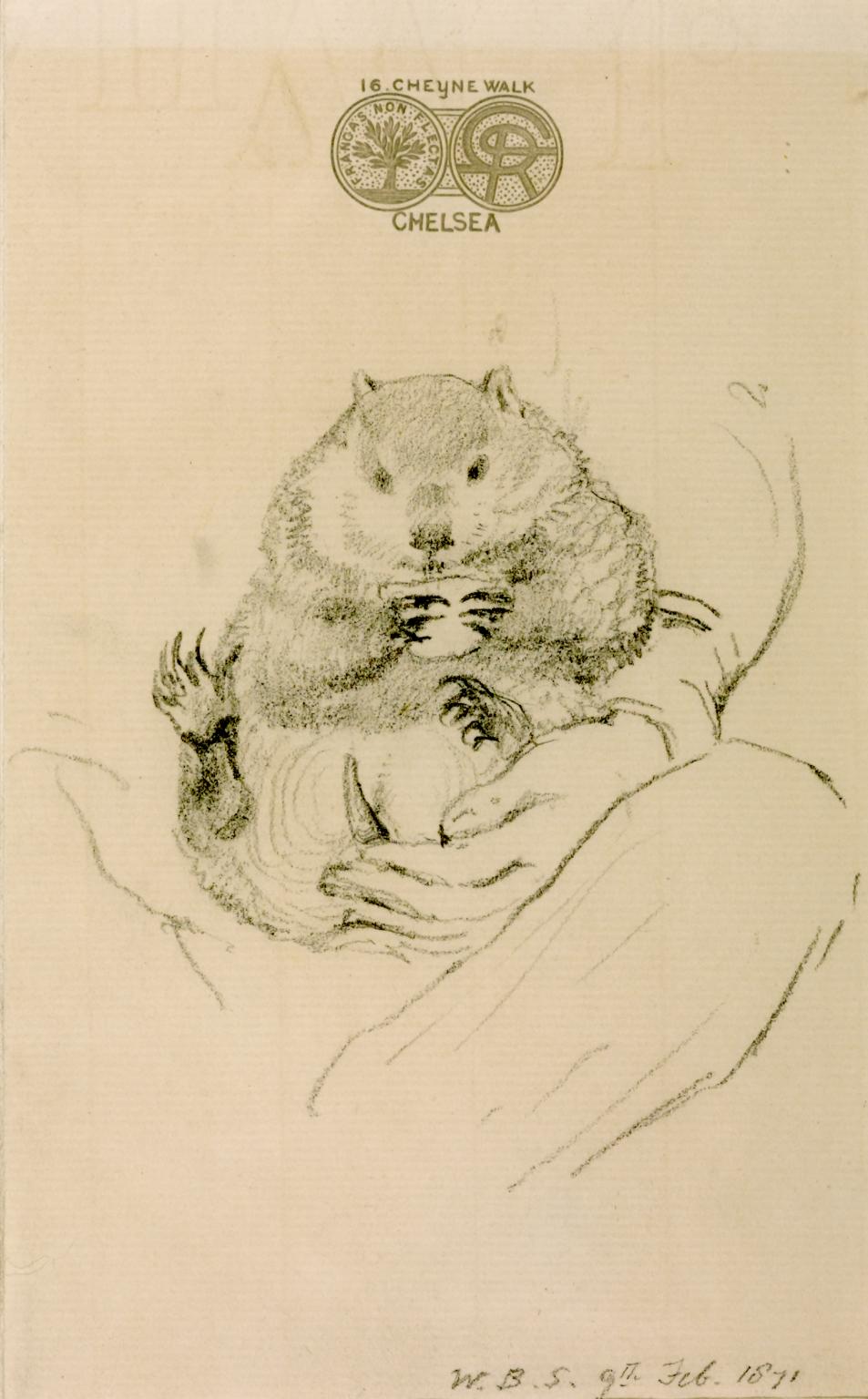 953x1536 work of the week rossetti's wombat seated in his master's lap - Wombat Drawing