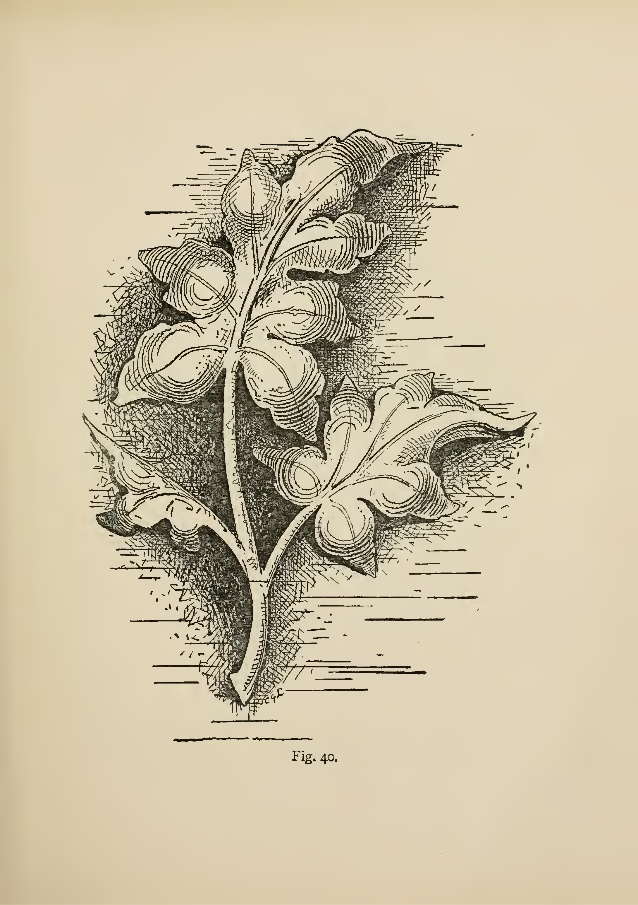 638x905 a manual of wood carving - Wood Carving Drawing