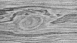 250x140 drawing textures how to draw wood pencil sessions - Wood Drawing Pictures