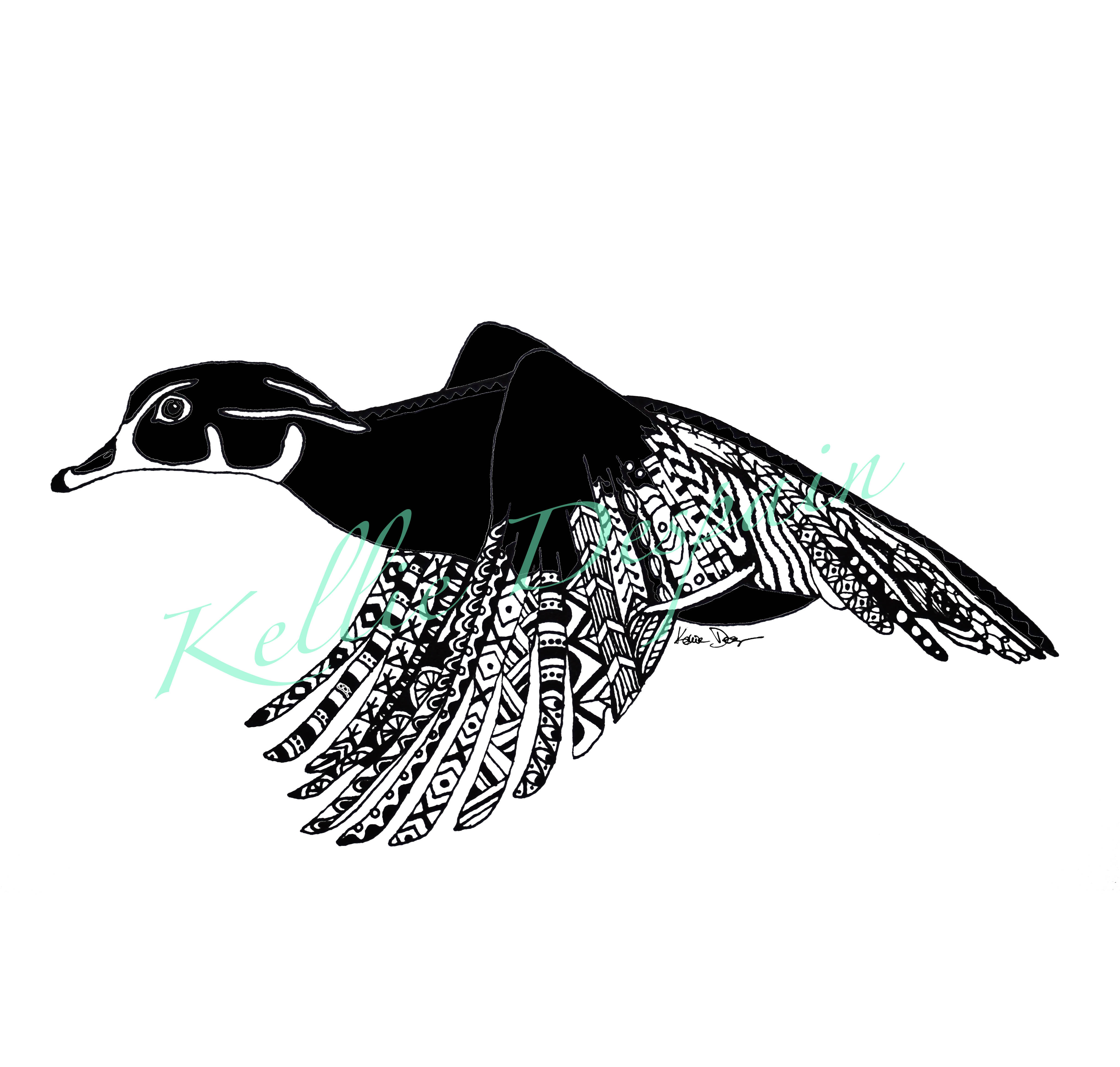 4094x3900 rocky mountain wood duck print red rio ink online store - Wood Duck Drawing