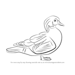 150x150 learn how to draw a wood duck - Wood Duck Drawing