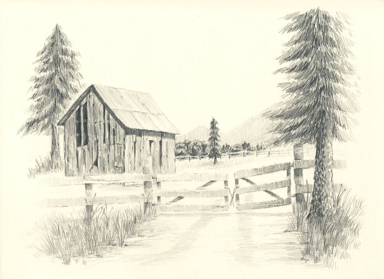 1226x893 Large Pine Trees Guard The Way In Through A Hand Built Wood Fence - Wood Fence Drawing