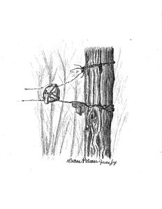 232x300 old clothesline drawing - Wood Fence Drawing