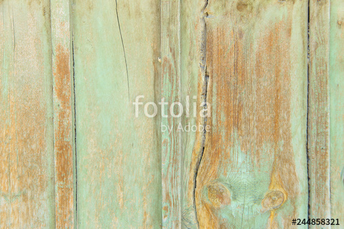 500x334 wooden fence painted with green paint tree structure shabby - Wood Fence Drawing