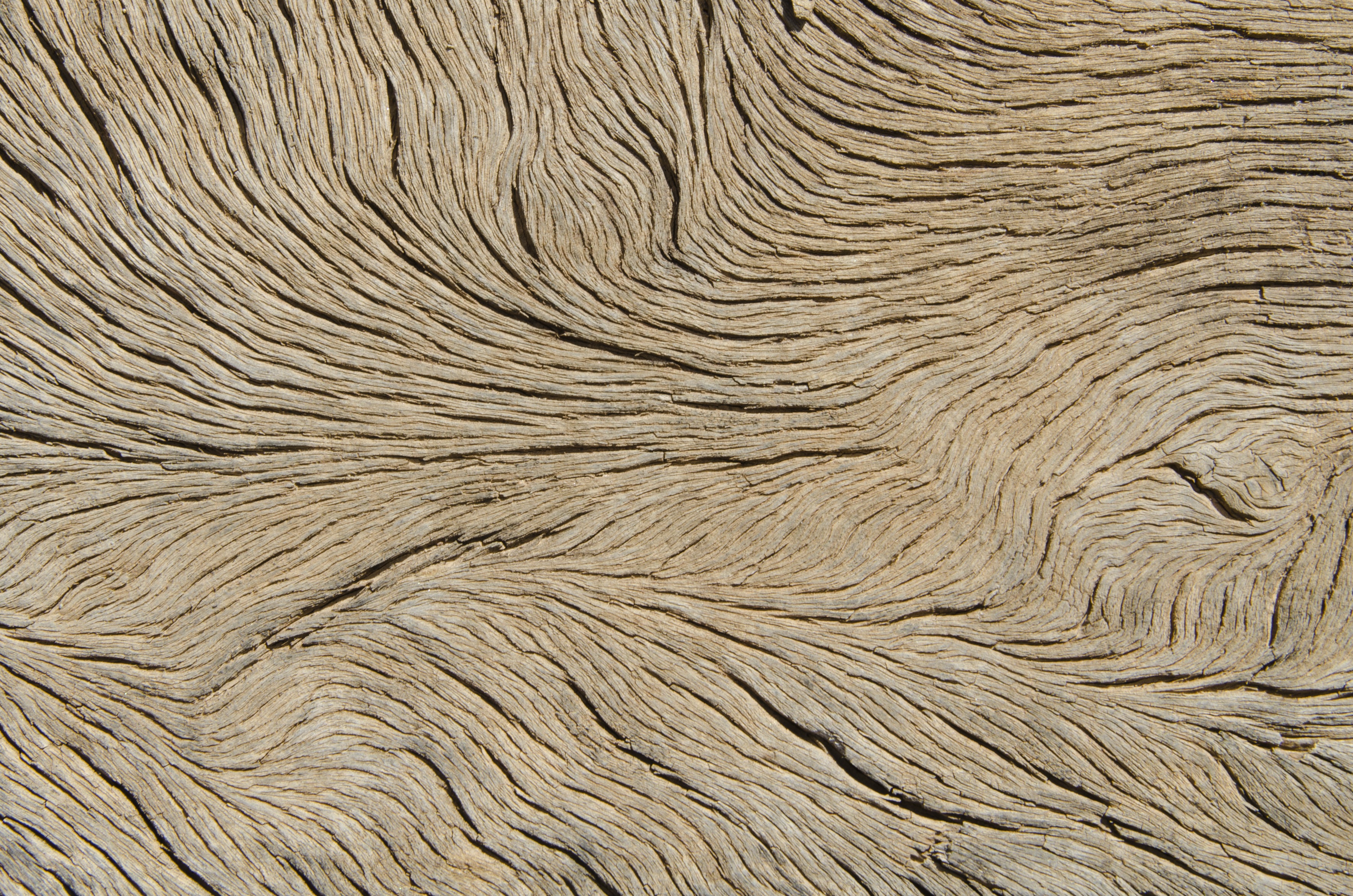 3543x2347 free images sand, texture, floor, trunk, soil, material, drawing - Wood Floor Drawing