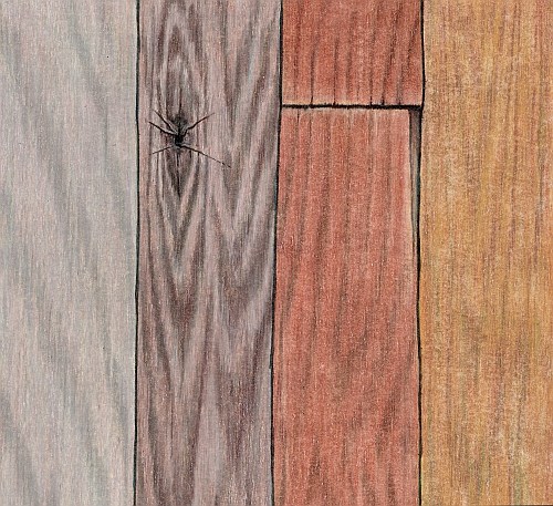 Wood Grain Drawing at PaintingValley.com | Explore collection of Wood