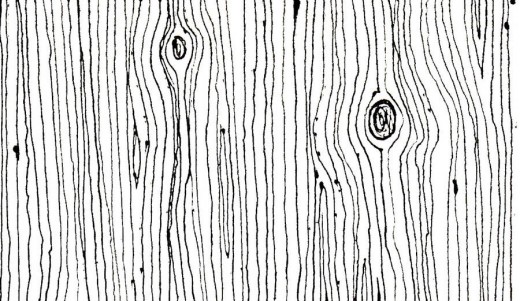 Wood Grain Drawing at PaintingValley.com | Explore collection of Wood
