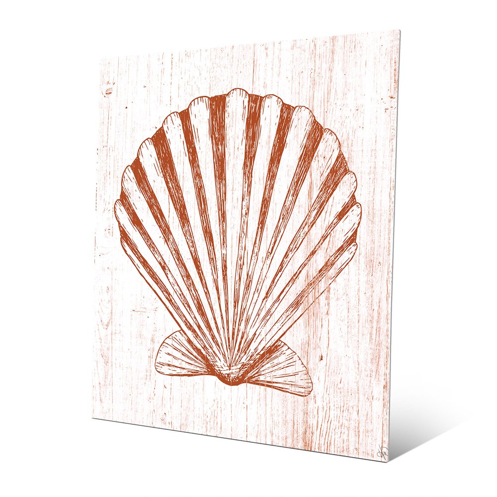 1000x1000 seashell on orange nautical line drawing of scallop - Wood Grain Line Drawing
