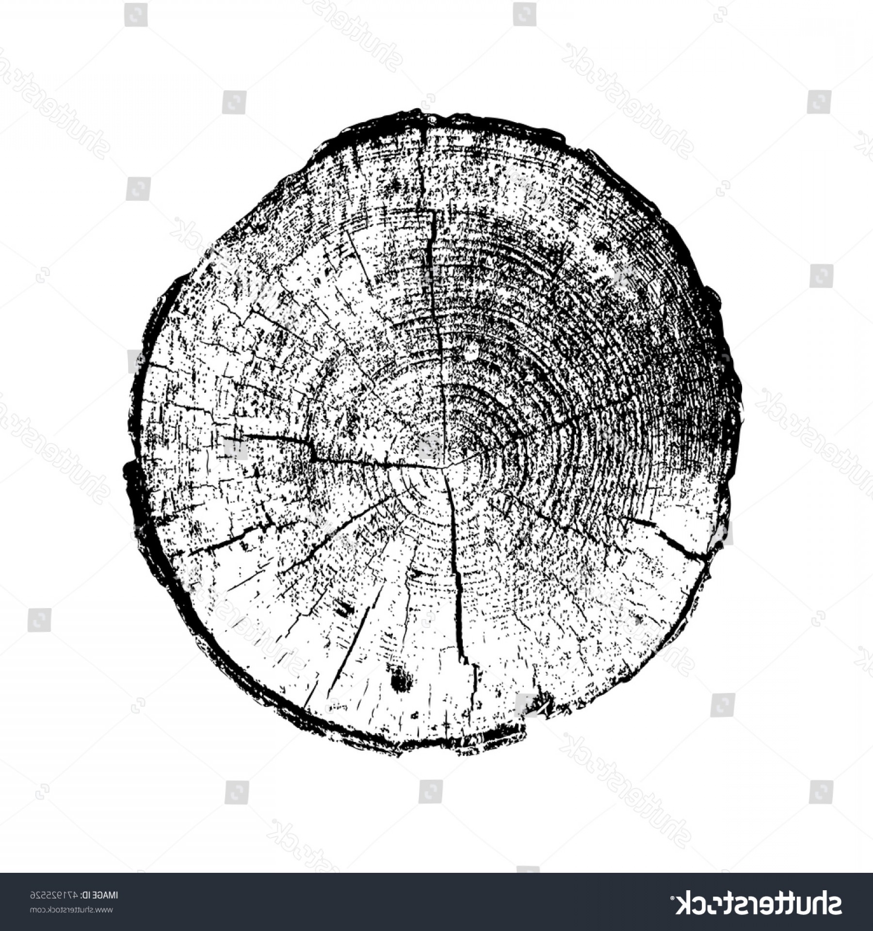 1800x1920 Wood Log Vector Soidergi - Wood Log Drawing