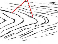 249x187 drawing bark how to draw tree bark with drawing lessons step - Wood Pattern Drawing