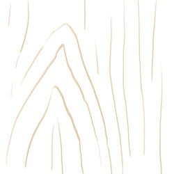 250x250 How To Create Wood Textures - Wood Pattern Drawing