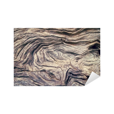 400x400 bark drawing wooden plank transparent png clipart free download - Wood Plank Drawing