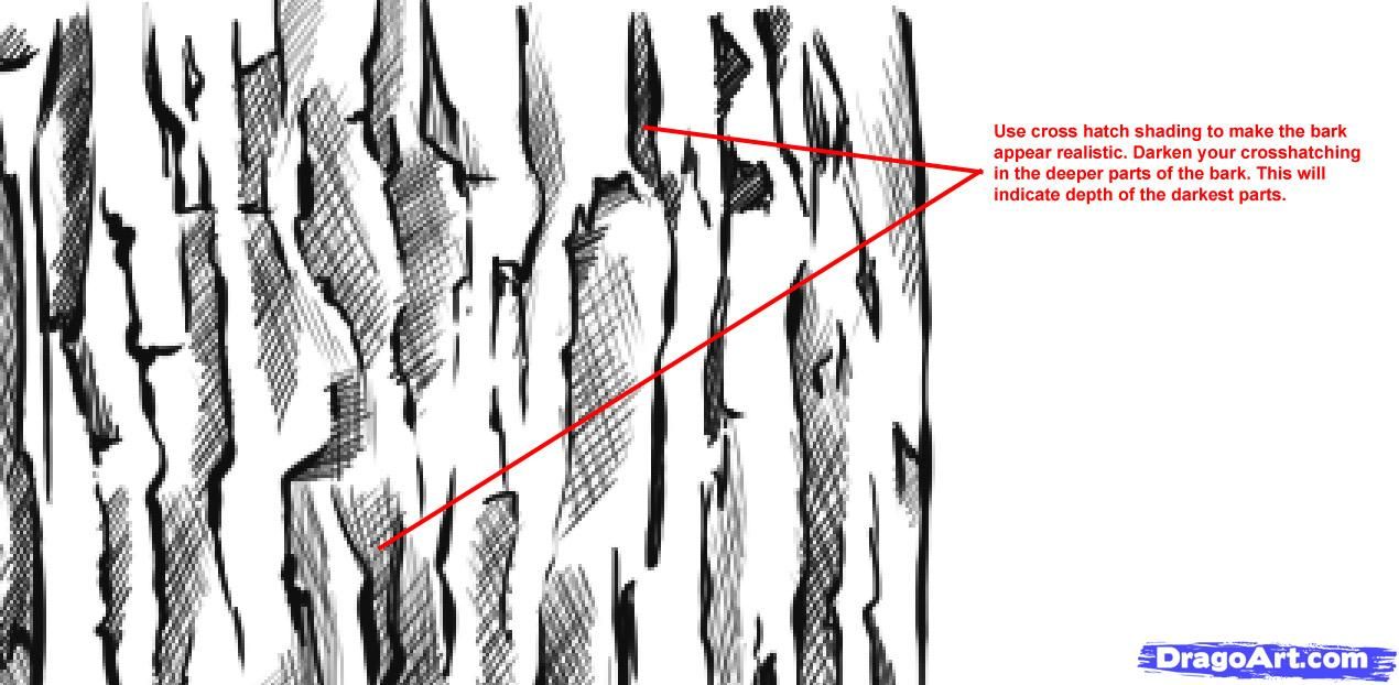 1270x622 Best How To Draw Wood Ideas Art Games Drawing, How To W - Wood Texture Drawing