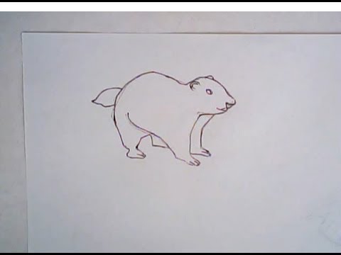 480x360 how to draw a groundhog - Woodchuck Drawing