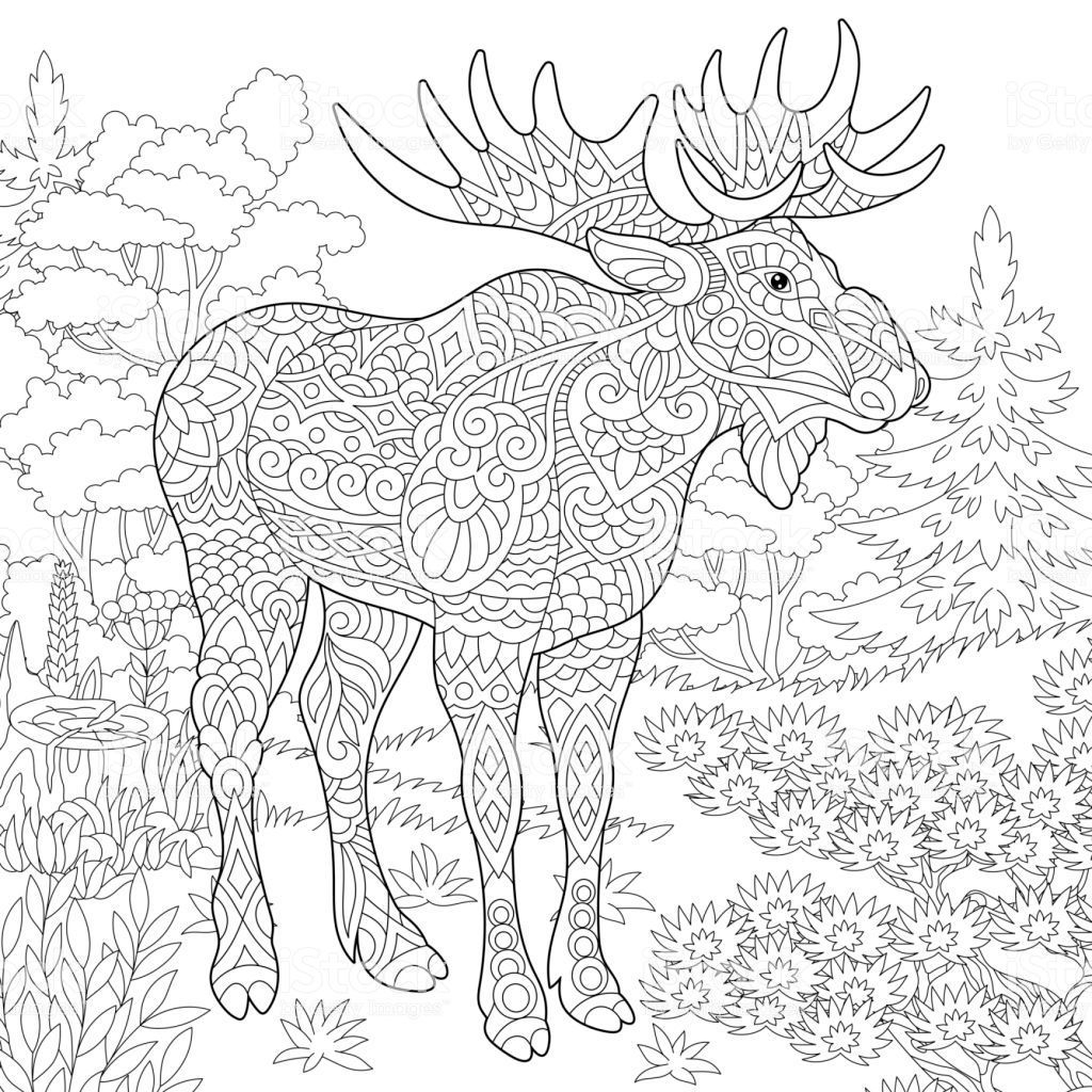 1024x1024 coloring - Woodland Animal Drawings
