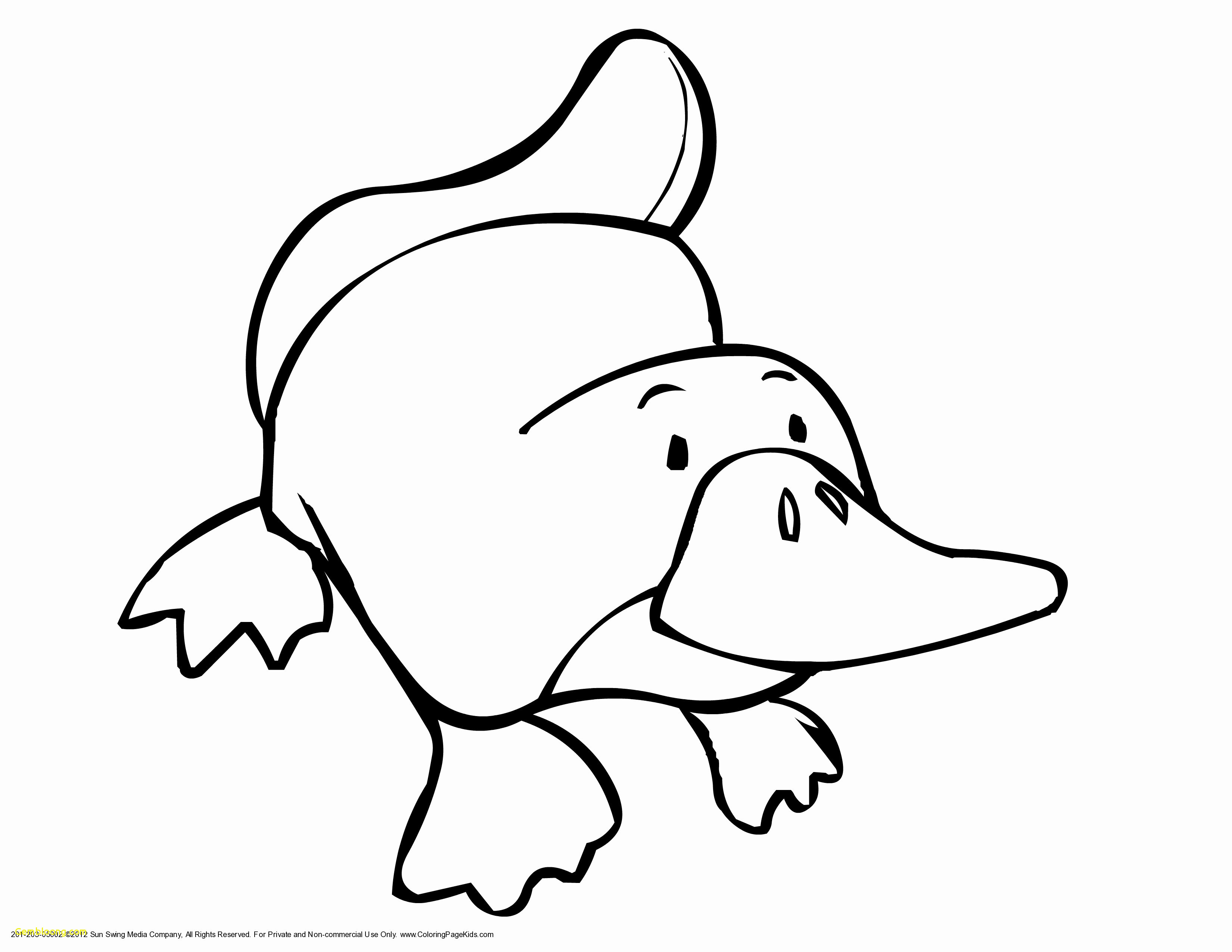 3300x2550 how to draw drawings trending coloring pages woodland - Woodland Animal Drawings