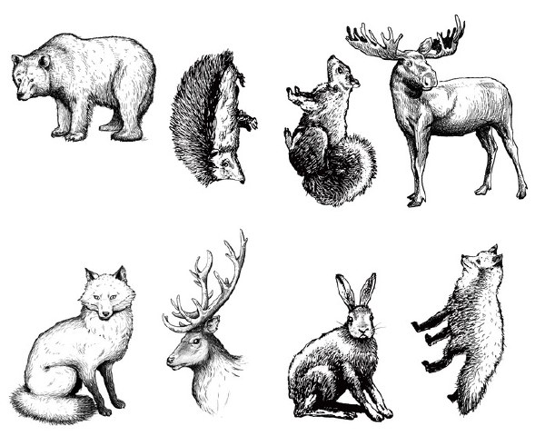 600x480 woodland animals silk screen - Woodland Animal Drawings