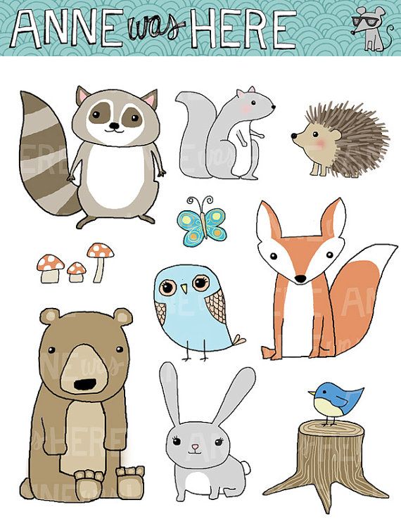 570x738 woodland critter doodles - Woodland Animal Drawings