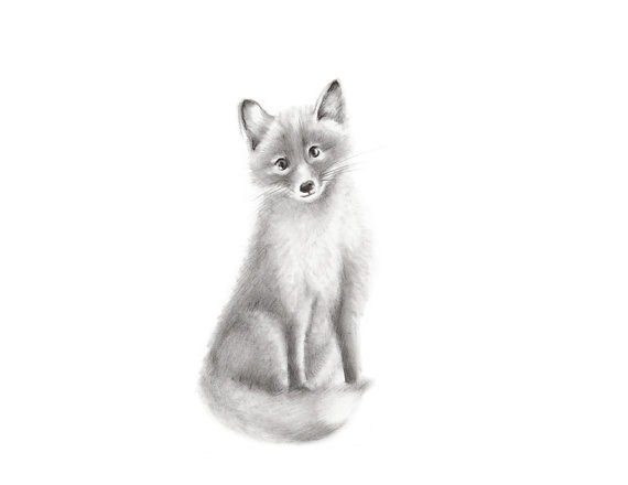 570x440 woodland nursery art, set of prints, baby animals, grey nursery - Woodland Animal Drawings