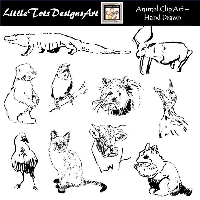 794x794 animal drawings hand drawn clipart woodland safari wild etsy - Woodland Animal Drawings
