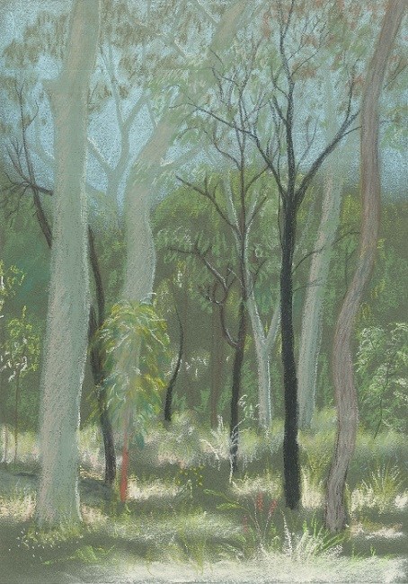 454x650 how to draw a forest - Woodland Drawing