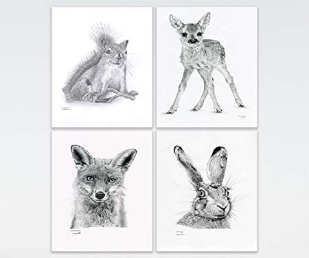 450x375 nursery art woodland british wild baby animals set of art - Woodland Drawing