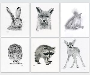 300x250 nursery prints, woodland animals, set - Woodland Drawing