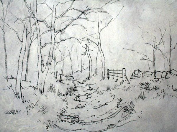 600x448 painting with oil paints woodland scenes - Woodland Drawing