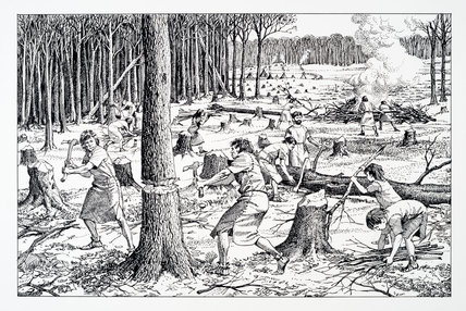 428x286 reconstruction drawing of early farming communities clearing - Woodland Drawing