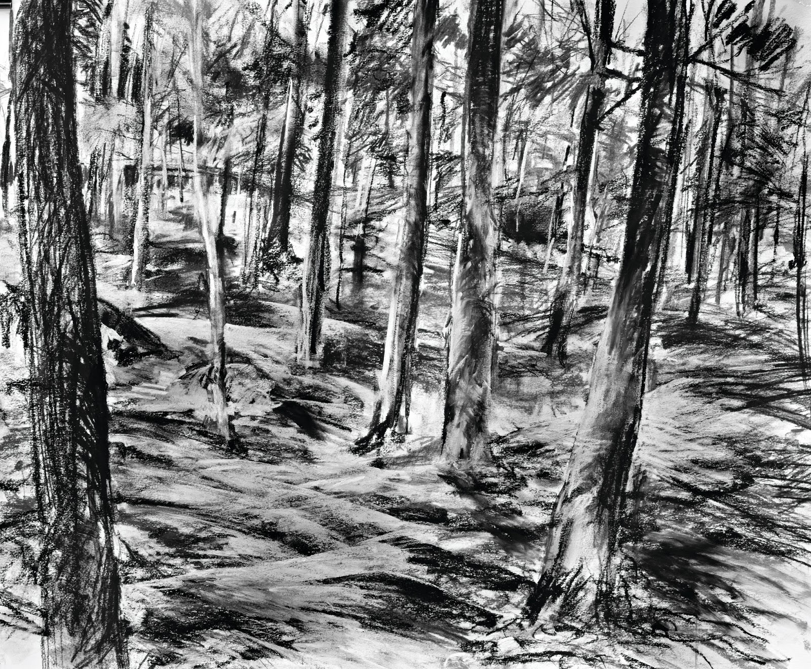 Woodland Drawing at Explore collection of Woodland
