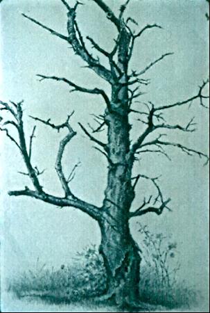 303x450 stanley maltzman gallery direct - Woodland Drawing