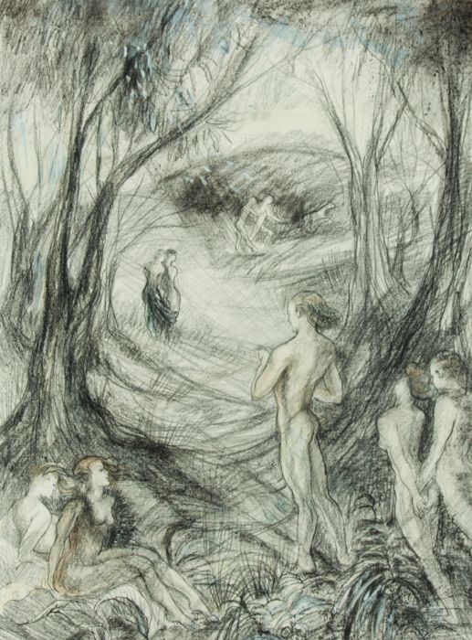 517x700 Veronica Aldous - Woodland Drawing