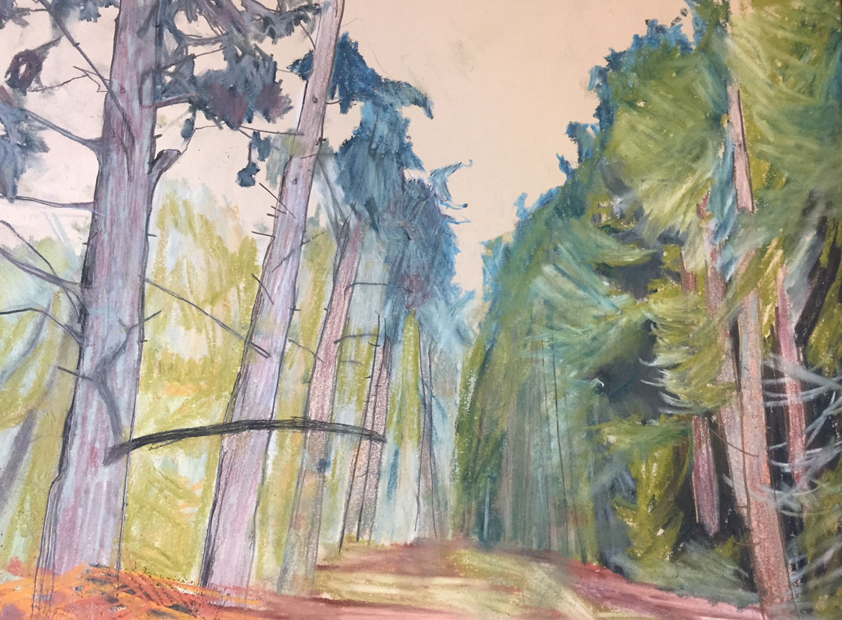 1181x870 cawston pastel on paper woodland drawing norwich artist claire - Woodland Drawing