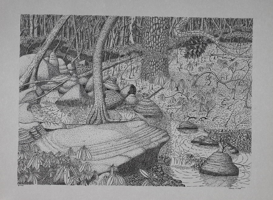 900x660 woodland stream drawing - Woodland Drawing