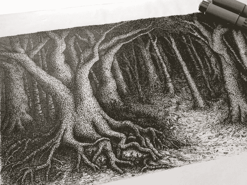 800x600 woodland - Woodland Drawing