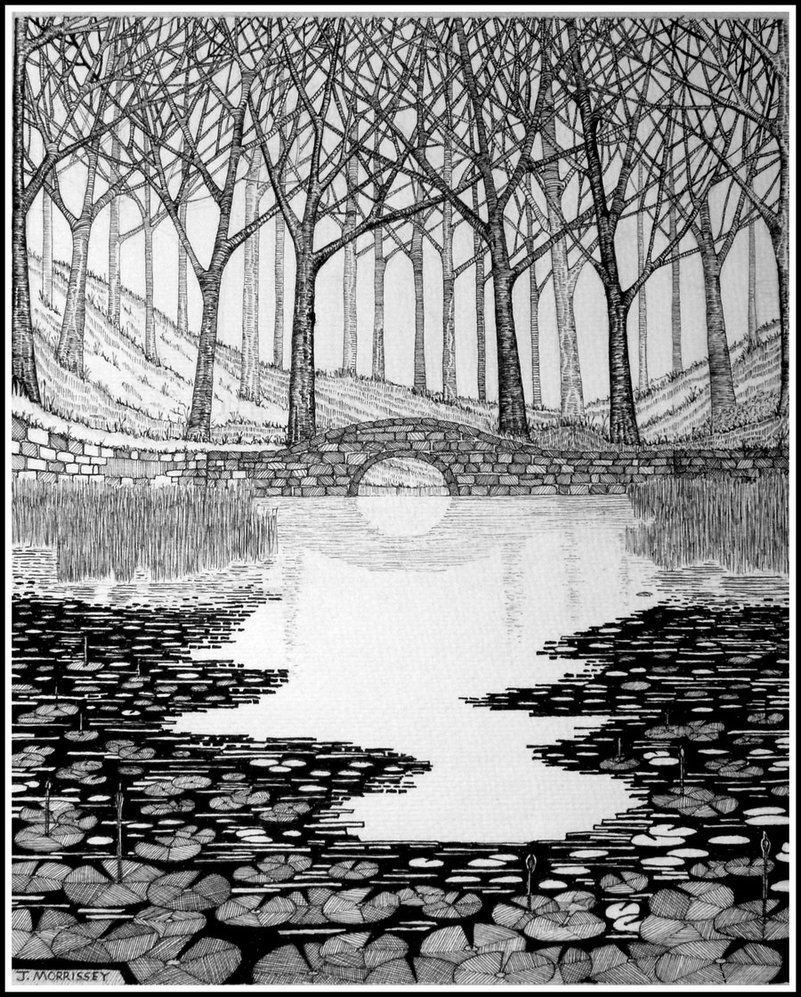 801x997 woodland pond - Woodland Drawing
