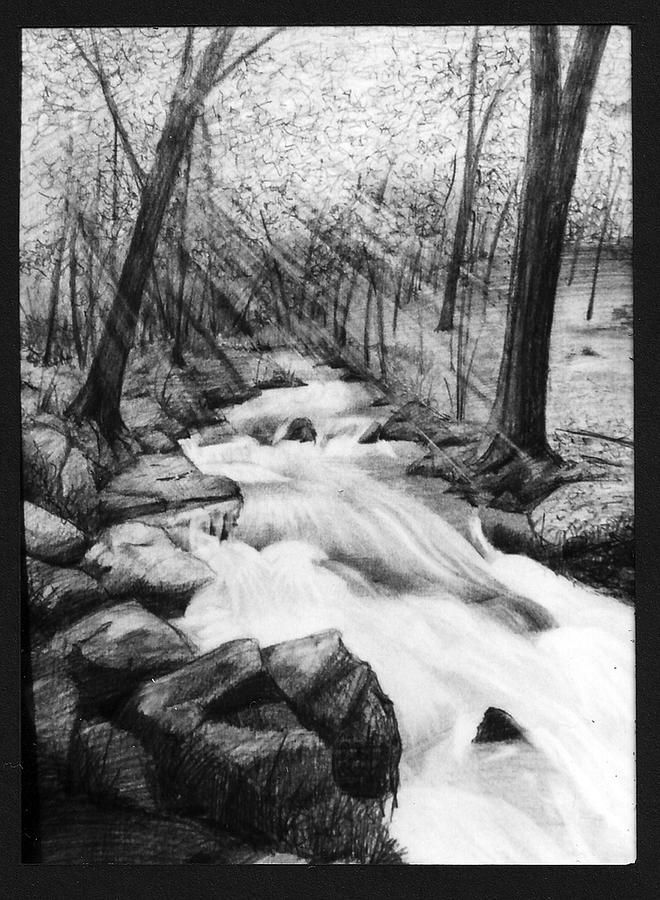 660x900 woodland drawing - Woodland Drawing