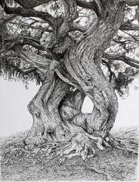 196x257 english artist sarah woolfenden does amazing drawings of trees - Woodland Drawing