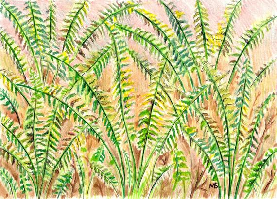 570x411 fern art original drawing woodland wall art fern wall etsy - Woodland Drawing