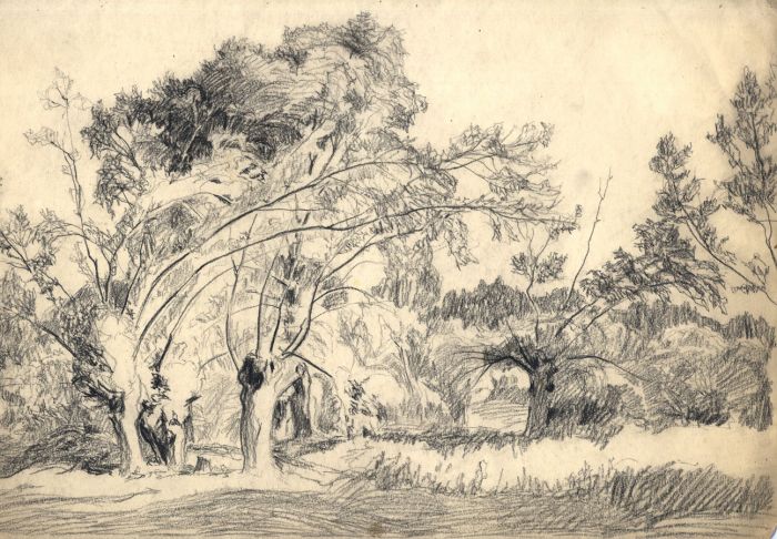 700x486 hans james berthold - Woodland Drawing