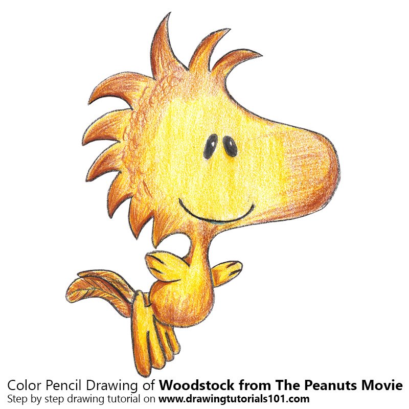 800x800 woodstock from the peanuts movie colored pencils - Woodstock Drawing