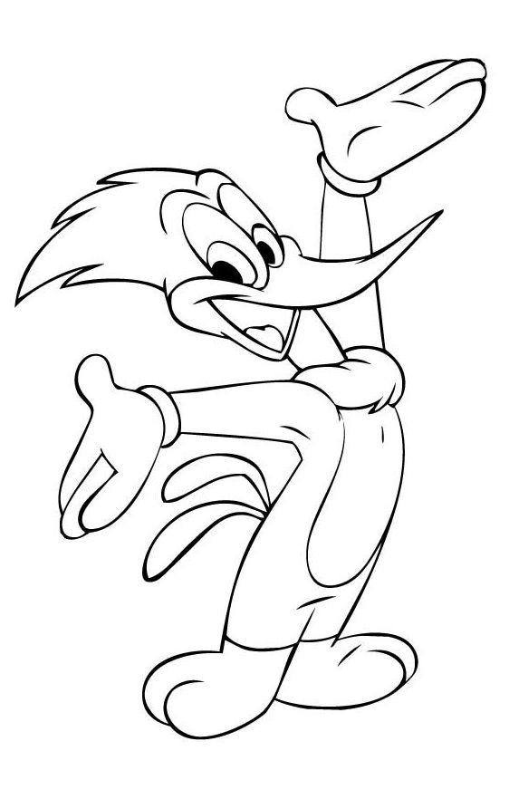 562x882 woody woodpecker - Woody Woodpecker Drawing