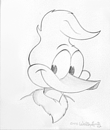 366x432 woody woodpecker images woody woodpecker wallpaper and background - Woody Woodpecker Drawing