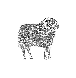 293x300 sheep wool drawings fine art america - Wool Drawing