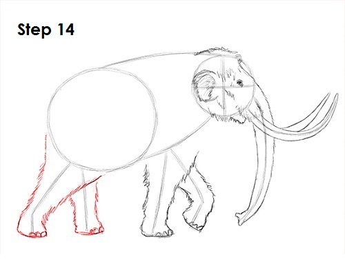 500x386 how to draw a mammoth - Woolly Mammoth Drawing