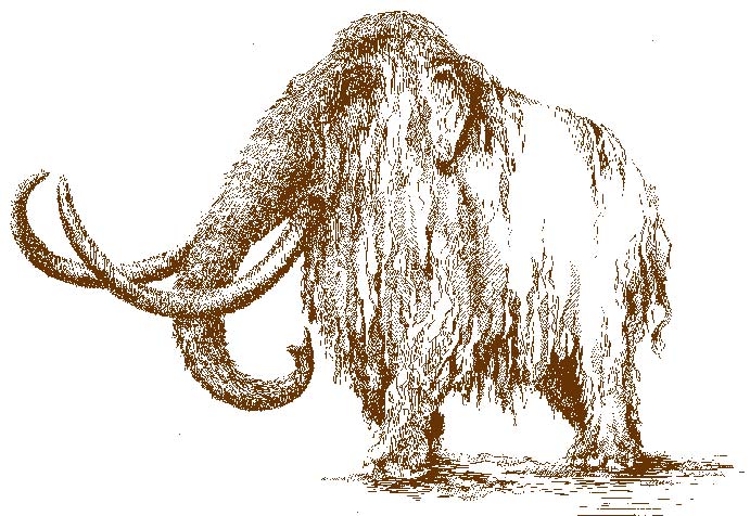 Схема woolly mammoth