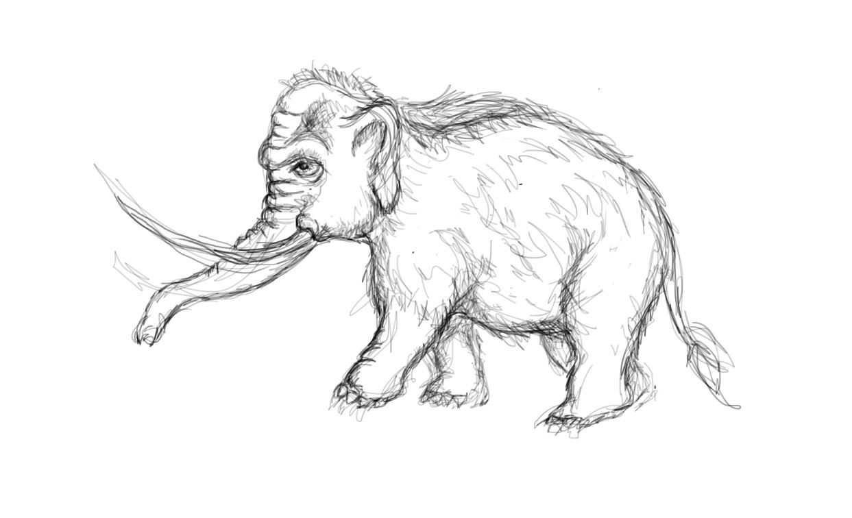 1243x756 mammoth drawing free download - Woolly Mammoth Drawing